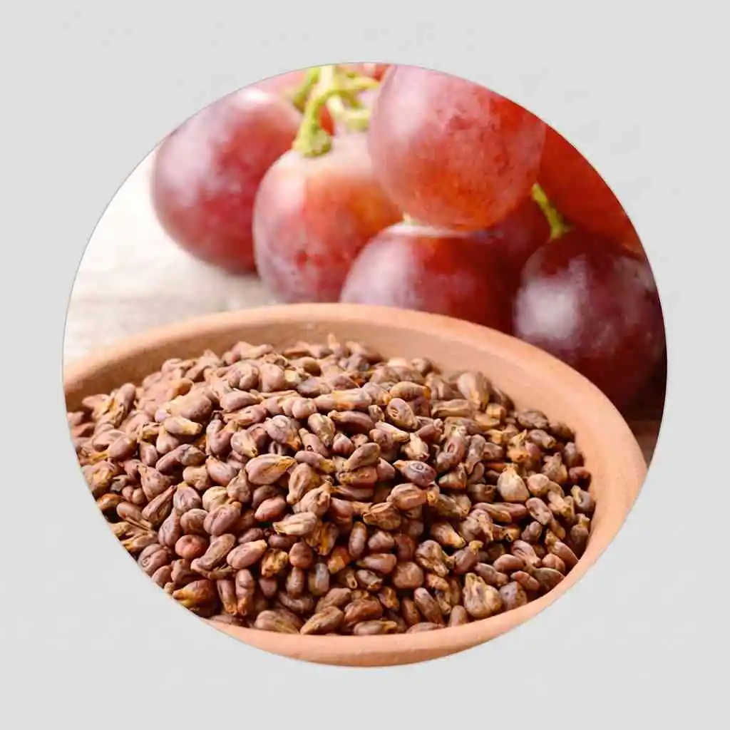 Grape Seed Extract