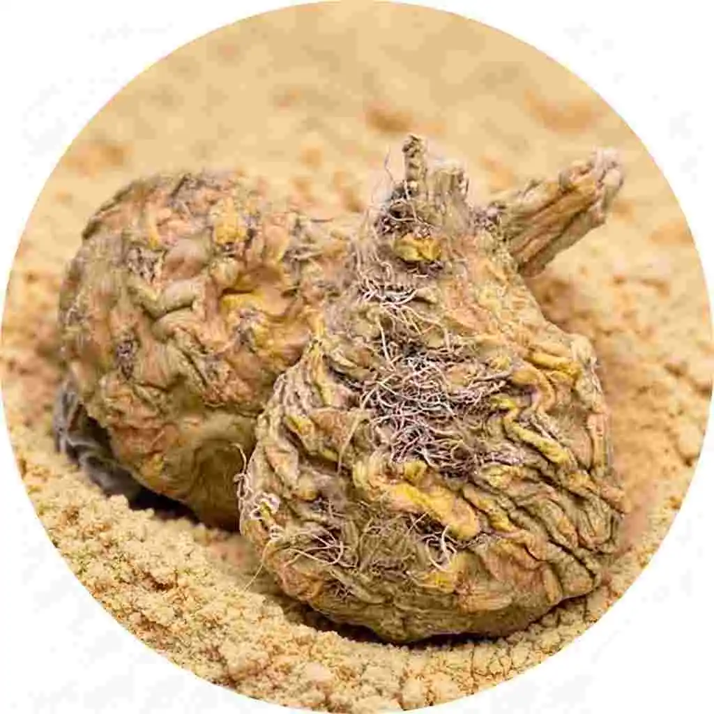 Maca Root